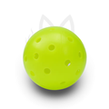 Training Outdoor Pickleballs 3-Pack